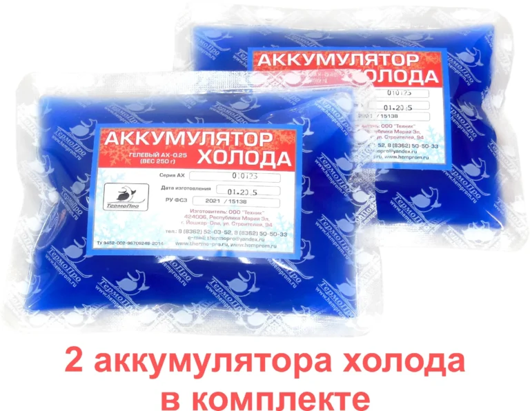 ТермоПро Аккумулятор холода объем 250 мл, 2 шт.-1